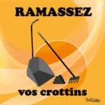 Panneau "Ramassez vos crottins" - Orange