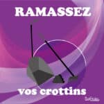 Panneau "Ramassez vos crottins" - Violet