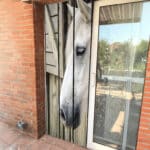 moustiquaire-75x230cm-cheval