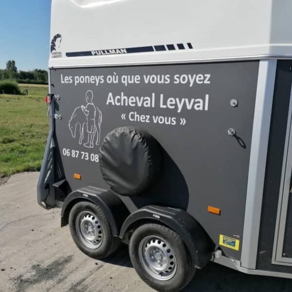 Lettrage Véhicule VL