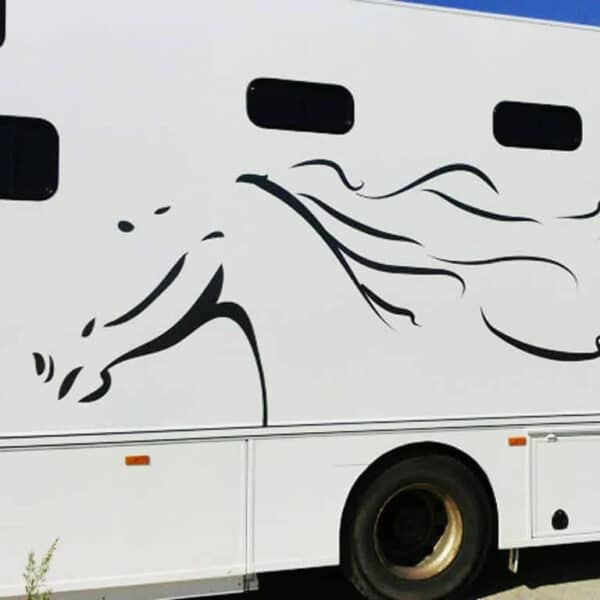 Lettrage Véhicule VL