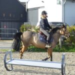 Obstacle soubassement culbutant pour chevaux