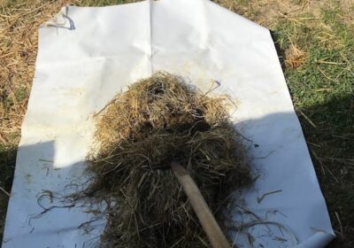 Bâche pour pailler les box en concours