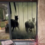 Moustiquaire de porte à personnaliser 150cm de large