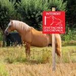 Panneau "Interdit d'attacher les chevaux"