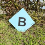 Numéros et lettres de cross fond bleu