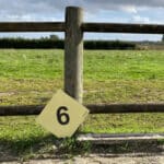 Numéros et lettres de cross fond jaune