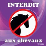 Panneau "Interdit aux chevaux" - violet