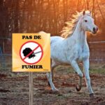 panneau-pas-de-fumier