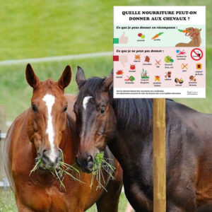 Panneau “Quelle nourriture donner aux chevaux ?”