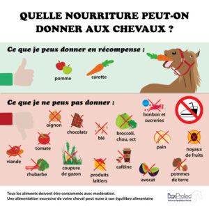Panneau “Quelle nourriture donner aux chevaux ?”