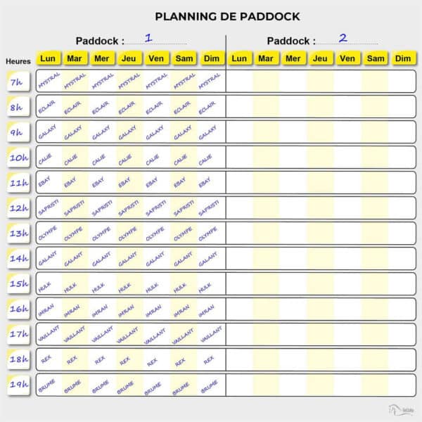 Planning de paddock - Jaune