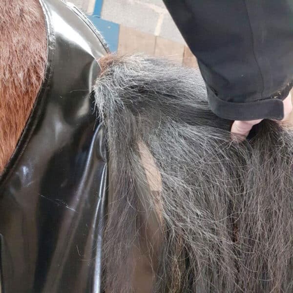 Sac à crottins cheval ou poney monté
