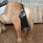 Sac à crottins cheval ou poney monté