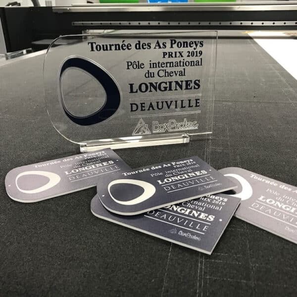Trophée en plexiglass avec personnalisation en ligne Trophée en plexiglass avec personnalisation en ligne