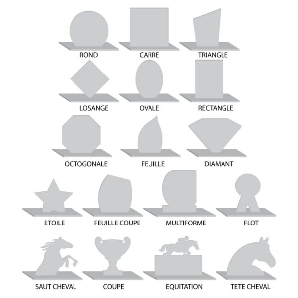 Trophée en plexiglass avec personnalisation en ligne