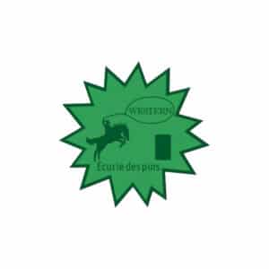 Plaque de remise de prix modèle Spark