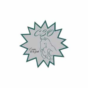 Plaque de remise de prix modèle Spark