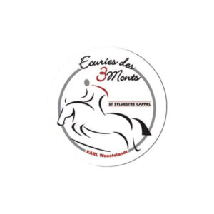 Plaque de remise de prix ronde à personnaliser