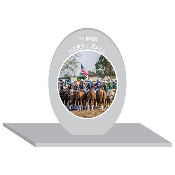 Trophée en plexiglass avec personnalisation en ligne Trophée en plexiglass avec personnalisation en ligne