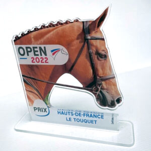 Trophée en plexiglass avec personnalisation en ligne