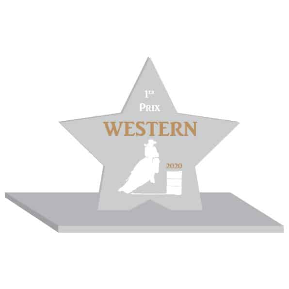 Trophée en plexiglass avec personnalisation en ligne Trophée en plexiglass avec personnalisation en ligne