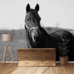 Papier peint personnalisé