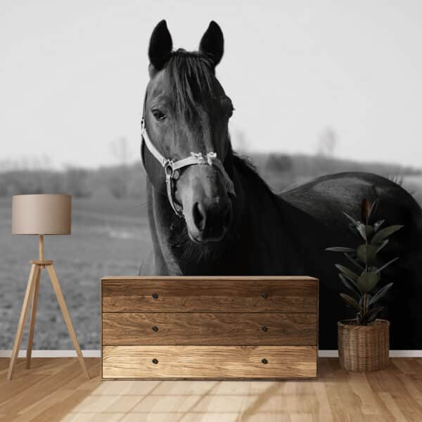 Papier peint personnalisé Papier peint personnalisé