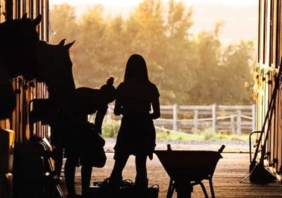 Conseils pour les gérants d'écurie