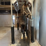 Matelas de protection Poteaux et Bas flanc