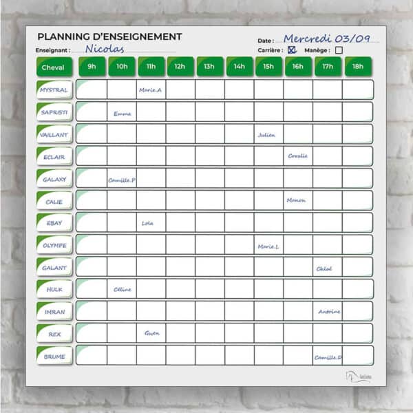 Planning d'enseignement journalier - Vert Planning d'enseignement journalier - Vert