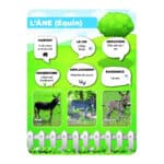 Panneaux pédagogiques animaux de la ferme - âne