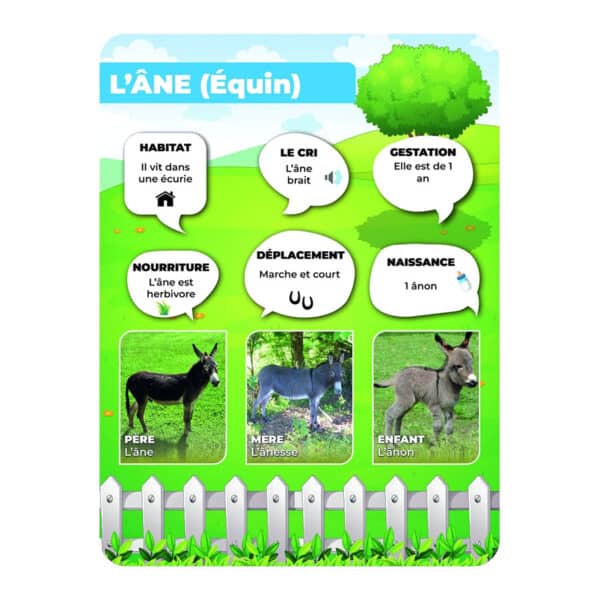 Panneaux pédagogiques animaux de la ferme - âne
