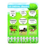 Panneaux pédagogiques animaux de la ferme - cheval