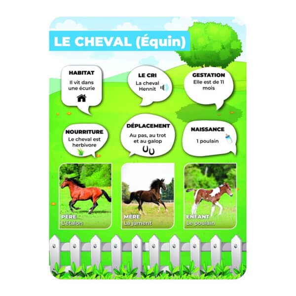 Panneaux pédagogiques animaux de la ferme - cheval Panneaux pédagogiques animaux de la ferme - cheval