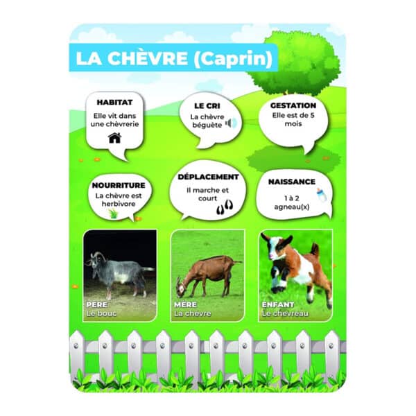 Panneaux pédagogiques animaux de la ferme - chèvre Panneaux pédagogiques animaux de la ferme - chèvre