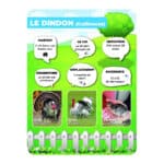 Panneaux pédagogiques animaux de la ferme - dindon