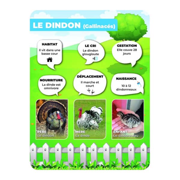 Panneaux pédagogiques animaux de la ferme - dindon Panneaux pédagogiques animaux de la ferme - dindon