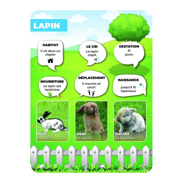 Panneaux pédagogiques animaux de la ferme - lapin
