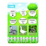 Panneaux pédagogiques animaux de la ferme - oie