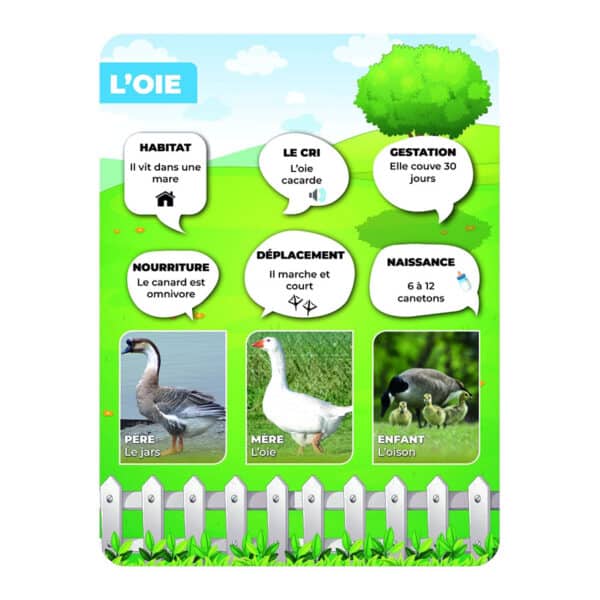 Panneaux pédagogiques animaux de la ferme - oie Panneaux pédagogiques animaux de la ferme - oie