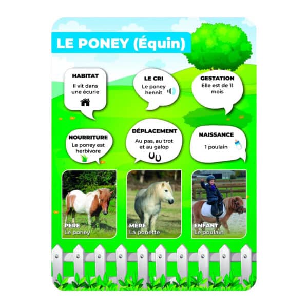 Panneaux pédagogiques animaux de la ferme - poney