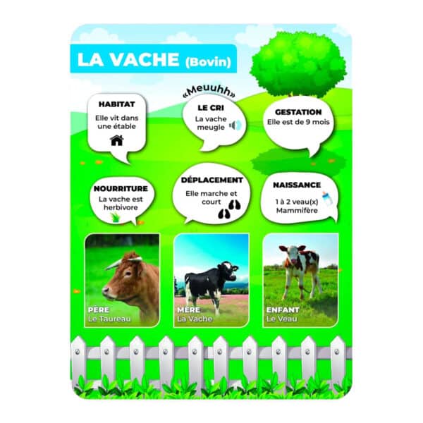 Panneaux pédagogiques animaux de la ferme - vache Panneaux pédagogiques animaux de la ferme - vache