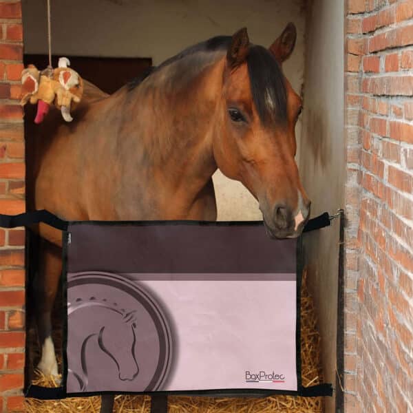 Porte de box – Collection Bénédicte - rose