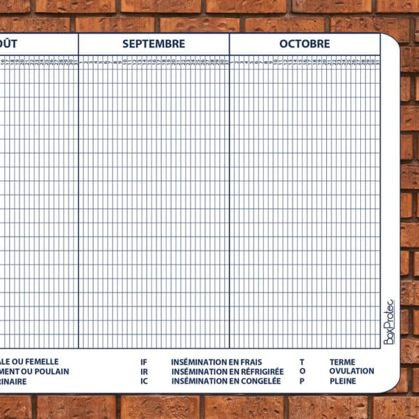 Planning d'insemination 400 x 100 cm