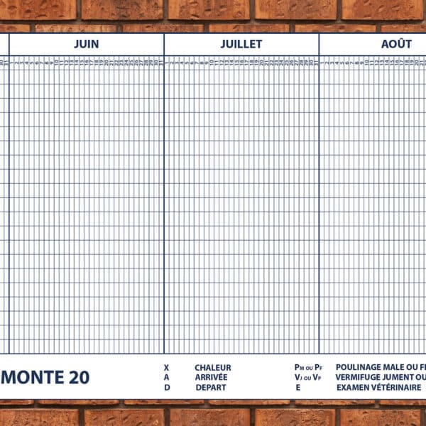 Planning d'insemination 400 x 100 cm