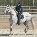Mannequin de débourrage Gilbert pour cheval – fabrication française BoxProtec