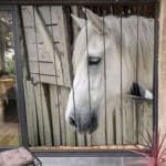 Moustiquaire de porte hauteur 210 cm largeur sur mesure et personnalisable