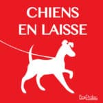 Panneau "Chiens en laisse"