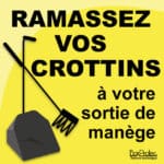 Panneau "Ramassez vos crottins à votre sortie de manège" - jaune